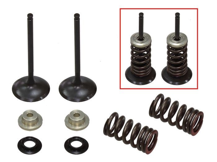 PSYCHIC INTAKE VALVE KIT