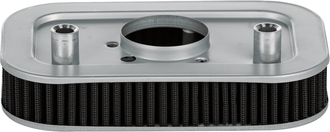HardDrive Performance Air Filter Repl OEM 29331-04