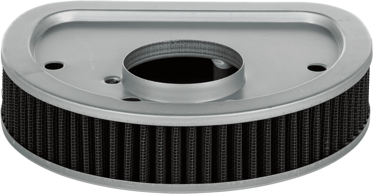 HardDrive Performance Air Filter Repl OEM 29461-99/29400042