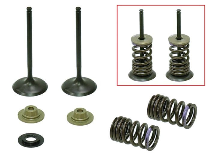 PSYCHIC INTAKE VALVE KIT
