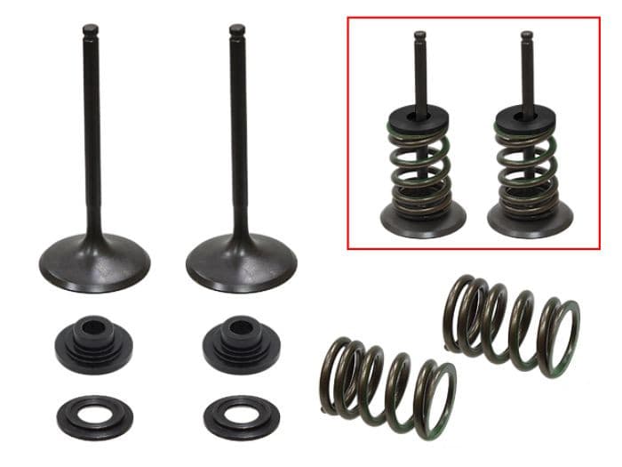 PSYCHIC INTAKE VALVE KIT