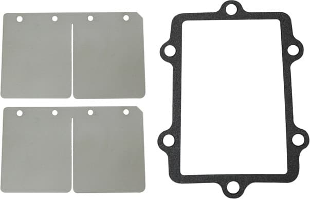 SP1 Reed Valve Rebuild Kit Arctic Cat