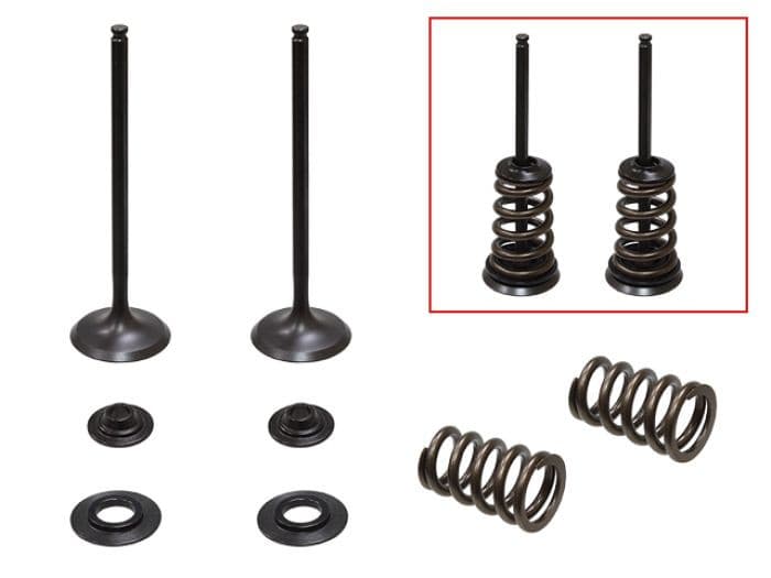 PSYCHIC INTAKE VALVE KIT