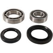 Pivot Works Rear Wheel Bearing Kit