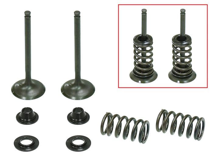 PSYCHIC EXHAUST VALVE KIT