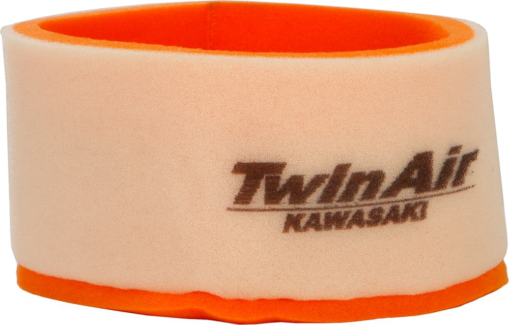 Twin Air Air Filter