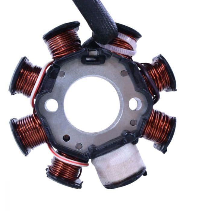 RM Stator 100W AC To DC Conversion Kit Stator+Regulator