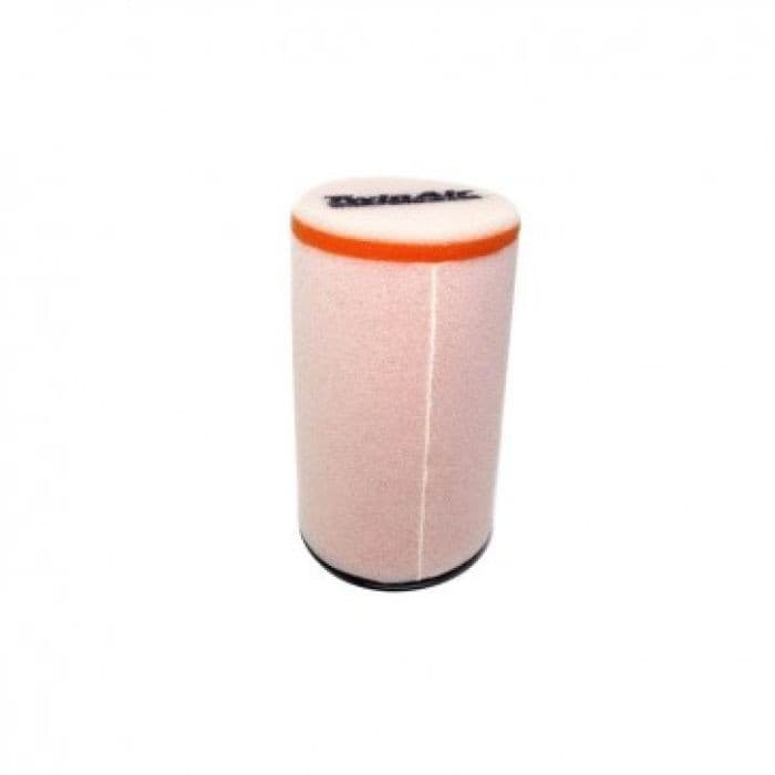 Twin Air Air Filter