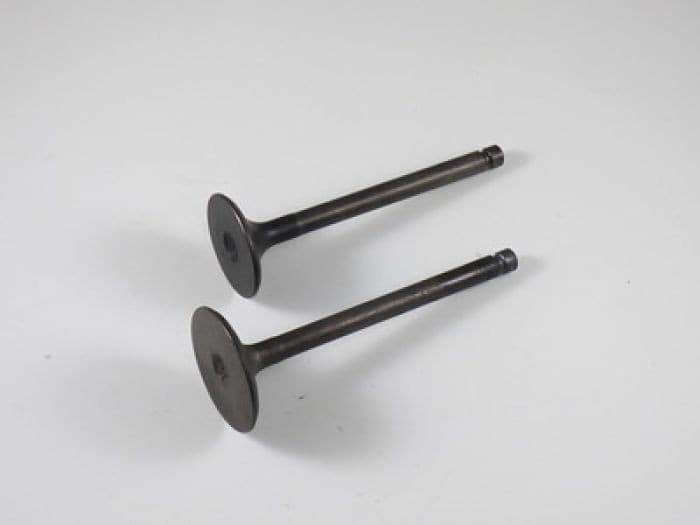 ENGINE VALVE SET YFM600 (98-01)