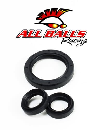 All Balls Differential Seal Kit