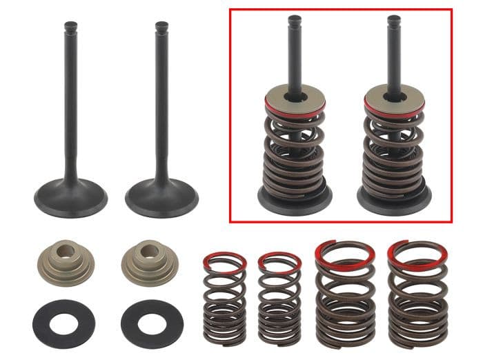 PSYCHIC EXHAUST VALVE KIT