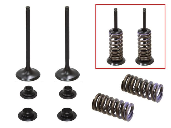 PSYCHIC INTAKE VALVE KIT