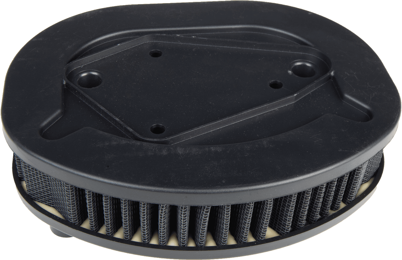 HardDrive Performance Air Filter Repl OEM 29400015