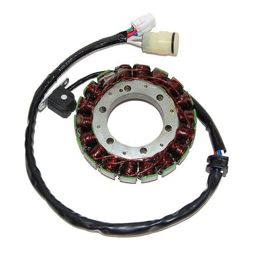 ELECTROSPORT STATOR YAMAHA 2-04)