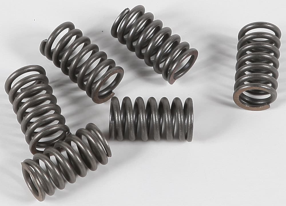 EBC Clutch Springs CSK31