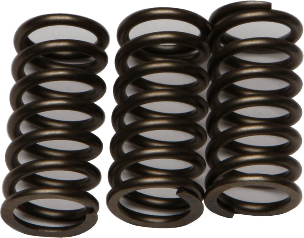 EBC Clutch Springs CSK203