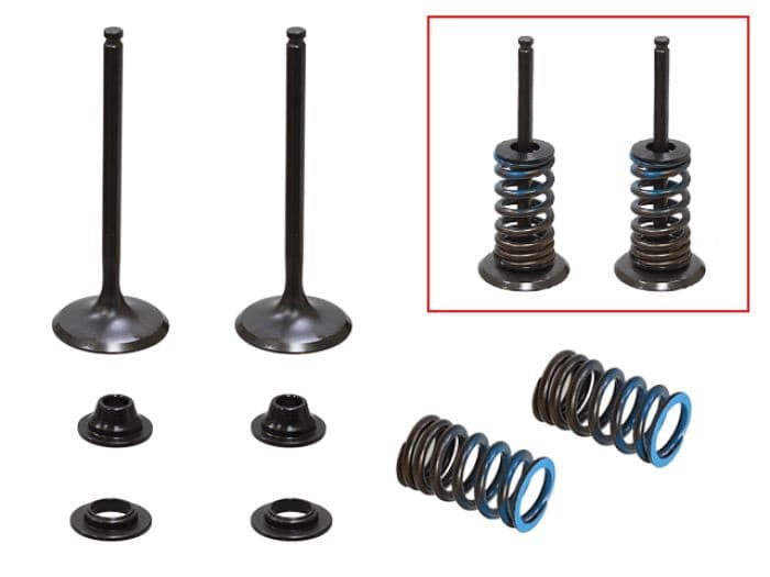 PSYCHIC INTAKE VALVE KIT