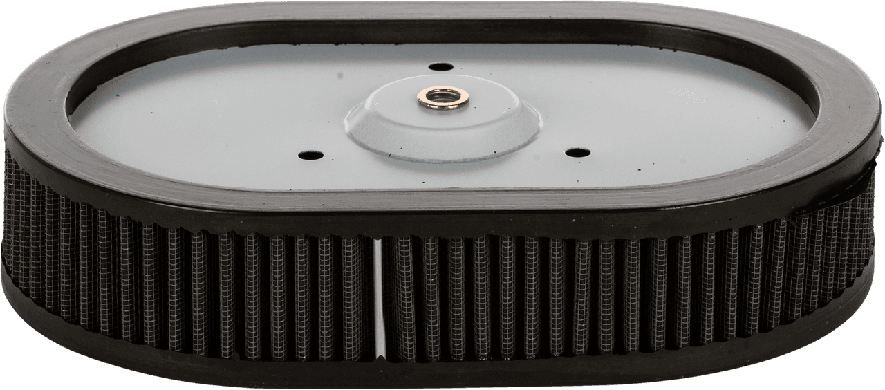 HardDrive Performance Air Filter Repl OEM 29670-09