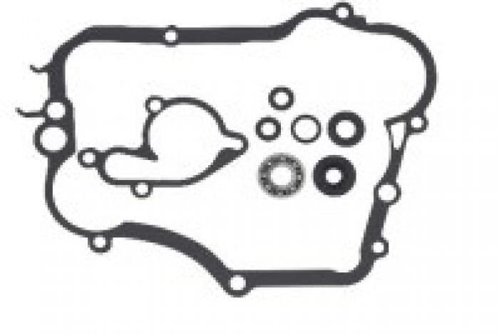 PSYCHIC WATER PUMP REPAIR KIT