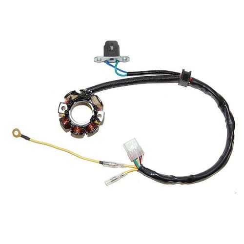 LIGHTING STATOR SUZUKI RM-Z450 - 50W