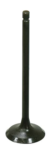 EXHAUST VALVE