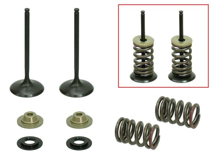 PSYCHIC INTAKE VALVE KIT
