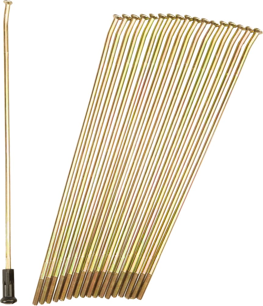 DOUBLE BUTTED SPOKES GOLD/BLACK REAR 19" 36/PK
