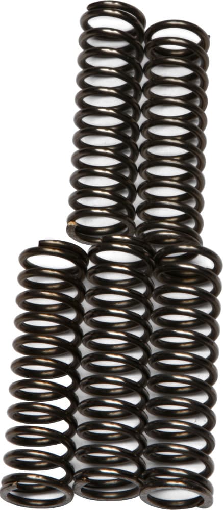 EBC Clutch Springs CSK67
