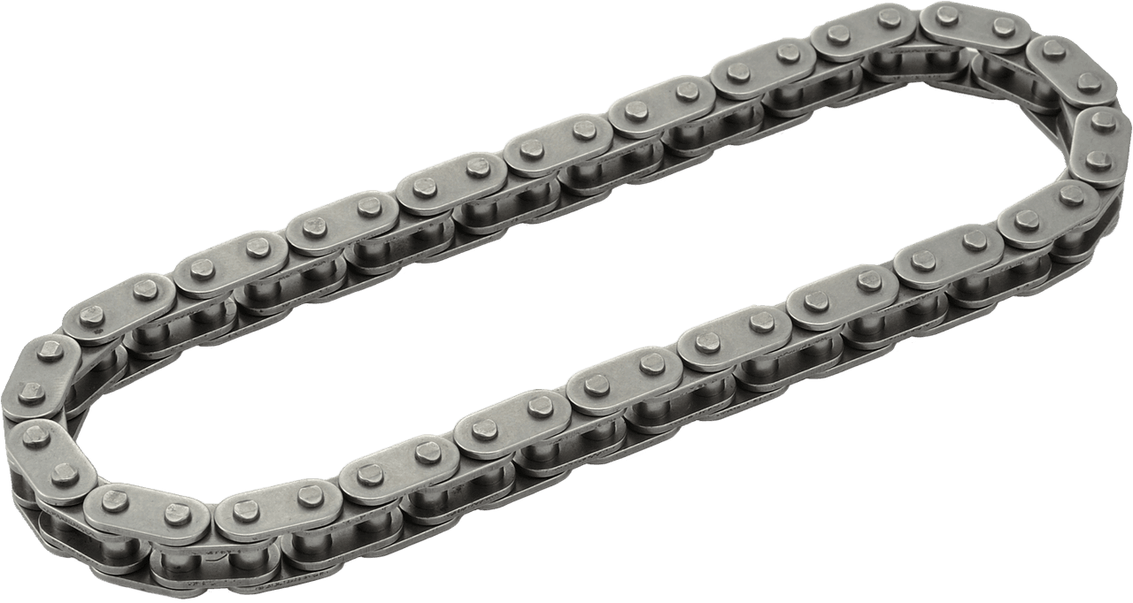 HardDrive Primary Cam Chain Tc 96" M8 Outer OEM 25675-06