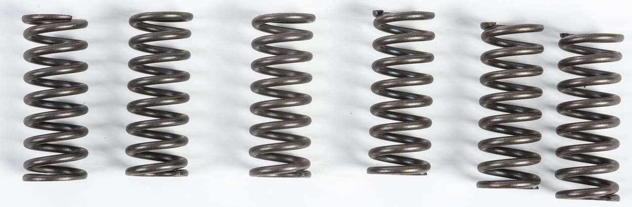EBC Clutch Springs CSK49