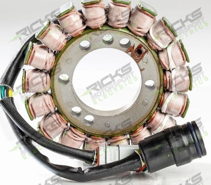 RICK'S ELECTRIC SKI DOO STATOR