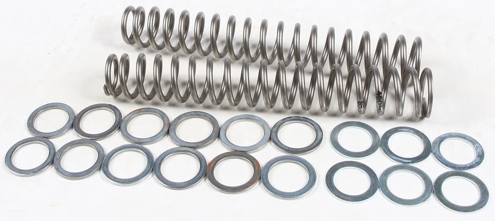 Race Tech Fork Spring 0.85KG