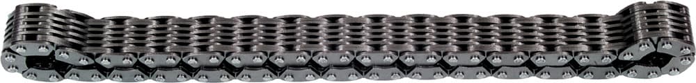 SP1 Chain Case Chain Link Belt Silent 13 Wide 72 Links