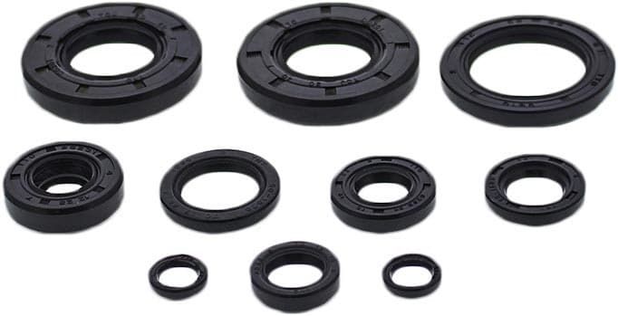Vertex Oil Seal Set